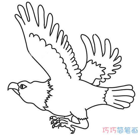 怎么画老鹰素描简单好看 老鹰的画法简笔画图片