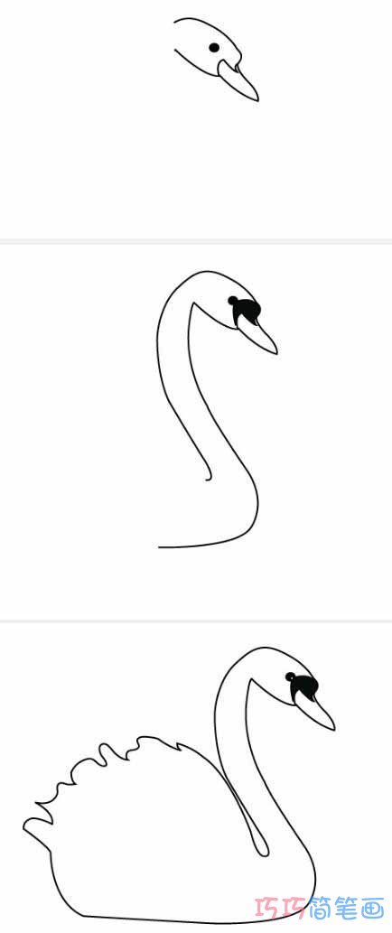 一步一步绘画天鹅简笔画图片 手绘天鹅的画法简单漂亮