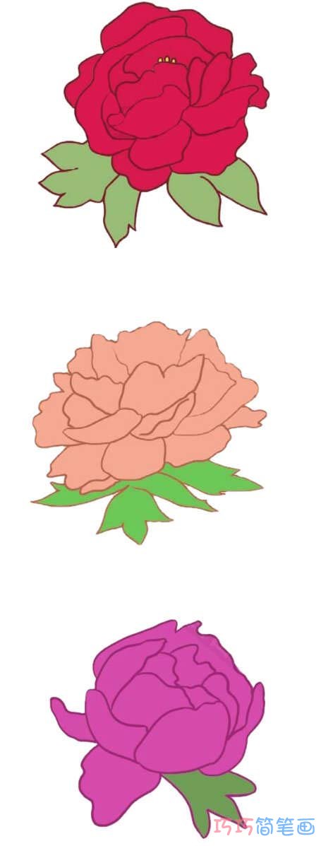 牡丹花的品种很多,颜色多样,我们先画一朵粉红色的牡丹花,再画一朵