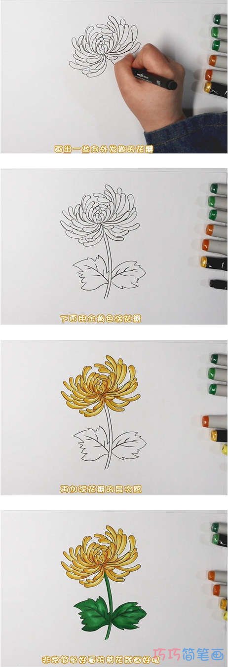 怎么手绘菊花简笔画步骤教程涂色漂亮