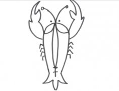龙虾简笔画-幼儿简笔画教程