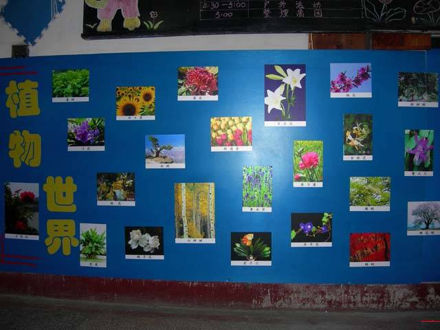 幼儿园教室布置图片