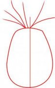 水果简笔画:菠萝简笔画的画法
