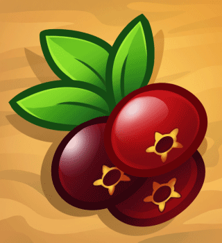 小红莓