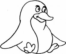 如何画卡通企鹅简笔画:动物简笔画