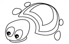 如何画乌龟简笔画:小动物简笔画