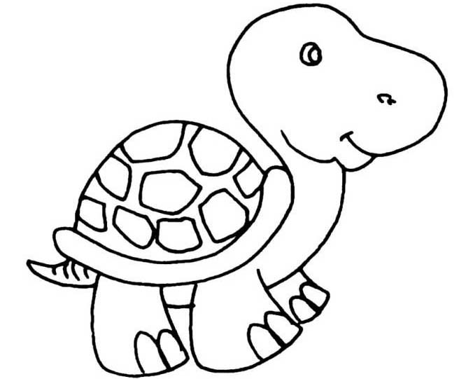 如何画乌龟简笔画,乌龟的画法