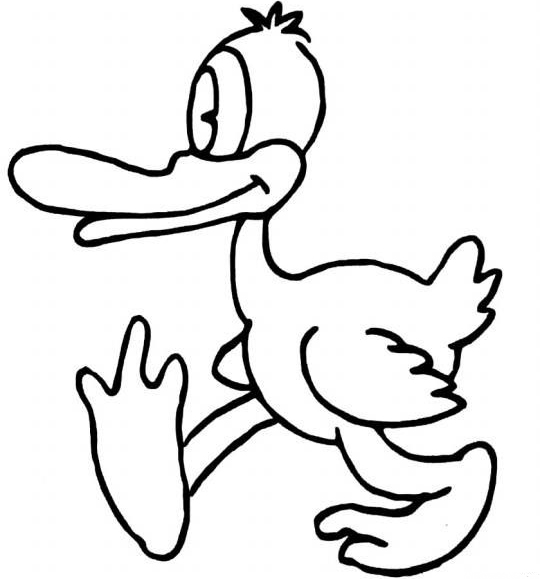 如何画卡通鸭子,小鸭子的画法