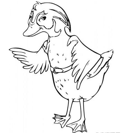 卡通鸭子的画法,鸭子简笔画