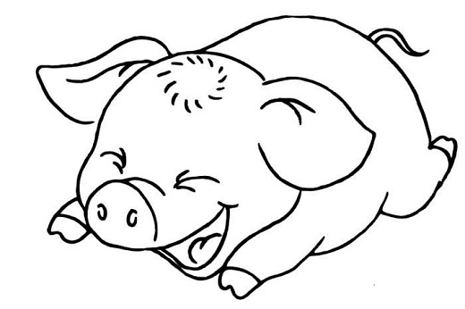 卡通猪的简笔画