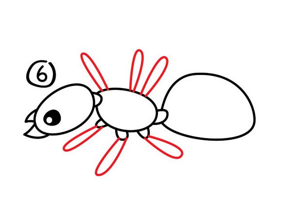 如何画蚂蚁简笔画，步骤六
