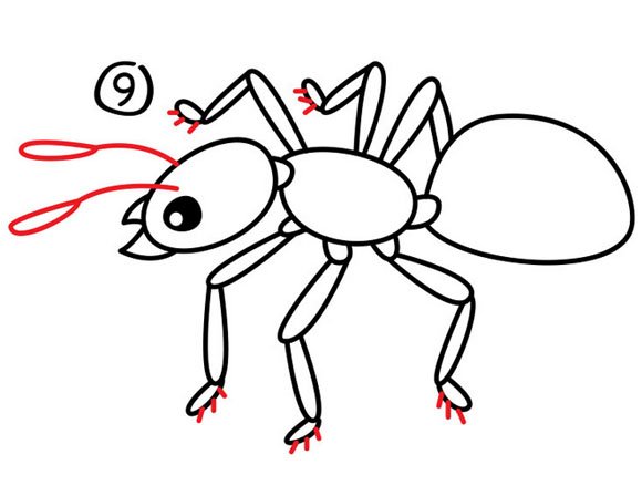 如何画蚂蚁简笔画,步骤九