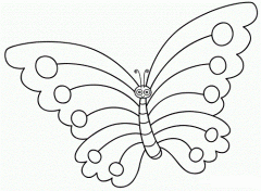 如何画卡通蝴蝶的简笔画图片:昆虫简笔画