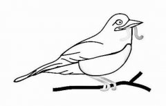 小鸟简笔画：正在吃虫子的小鸟图片