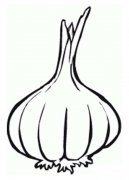 蔬菜简笔画图片：大蒜的画法