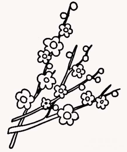如何画梅花树枝