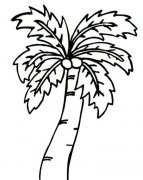 一棵高大上的椰子树简笔画图片