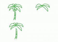 椰子树简笔画图片教程