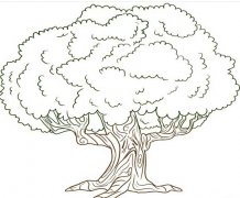 如何画卡通大树简笔画图片