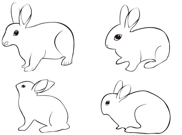 如何画兔子简笔画图片教程