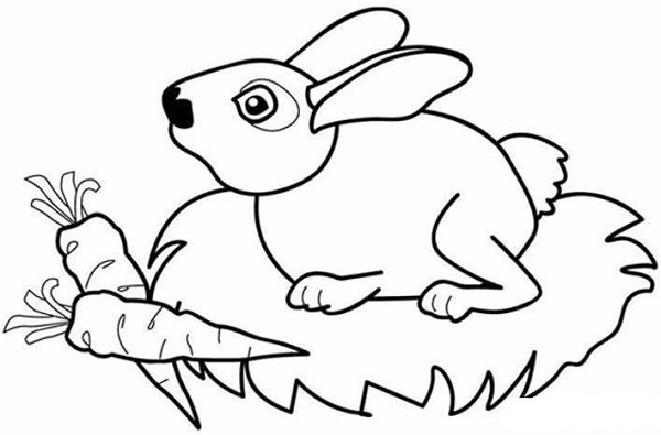 小白兔吃萝卜简笔画教程