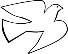 一只天空飞翔的鸽子简笔画图片