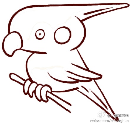 小鹦鹉的画法,鹦鹉简笔画步骤教程