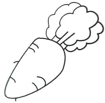 怎么画白萝卜简笔画