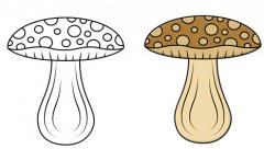 真菌蘑菇简笔画图片大全(铅笔彩图对照)