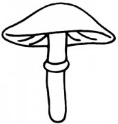 怎么绘画卡通蘑菇简笔画图片