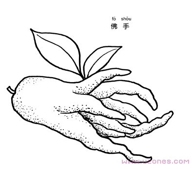 2-160616111307.jpg
