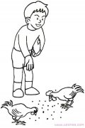 正在喂鸡的小男孩简笔画卡通图片（铅笔素描）