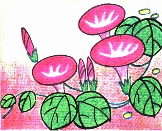 漂亮牵牛花的画法简笔画图片手绘（铅笔素描）-www.qqscb.com