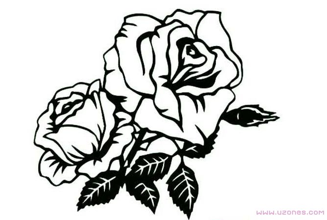 月季花的画法简笔画卡通图片大全素描-www.qqscb.com