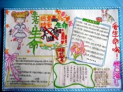 珍爱生命，远离毒品小学生安全手抄报内容