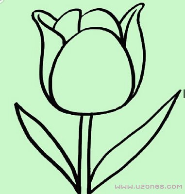 简单漂亮的玫瑰花简笔画图片手绘（铅笔素描）-www.qqscb.com