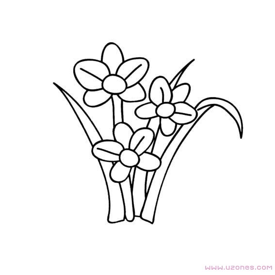 手绘水仙花简笔画卡通图片（素描铅笔）-www.qqscb.com