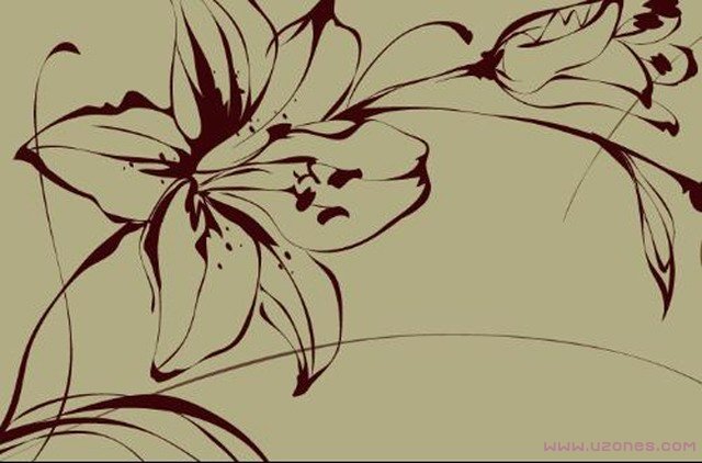 获奖手绘百合花简笔画图片（素描水彩）-www.qqscb.com