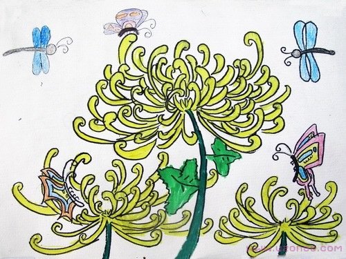 儿童野菊花手绘简笔画图片素描(彩色)-www.qqscb.com