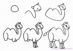 一步一步手绘骆驼的画法素描铅笔图片