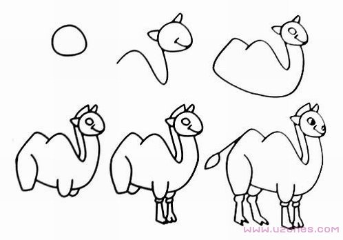 一步一步手绘骆驼的画法素描铅笔图片-www.qqscb.com