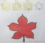 秋天红色的枫叶简笔画手绘图片素描