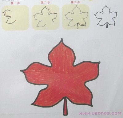 秋天红色的枫叶简笔画手绘图片素描-www.qqscb.com