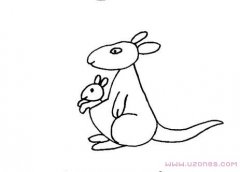 袋鼠妈妈和小袋鼠简笔画图片手绘素描