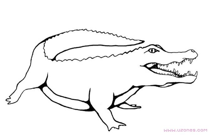手绘凶猛的大鳄鱼简笔画素描铅笔-www.qqscb.com