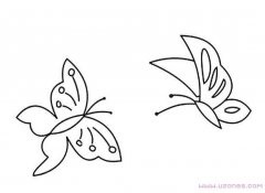 两只飞舞的小蝴蝶简笔画手绘图片素描铅笔