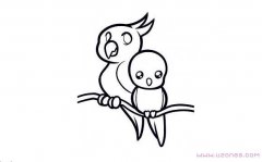 手绘两只可爱的小鹦鹉简笔画素描