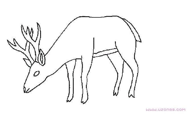 手绘驯鹿的简笔画图片素描铅笔-www.qqscb.com