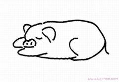 手绘睡觉的小猪简笔画图片素描