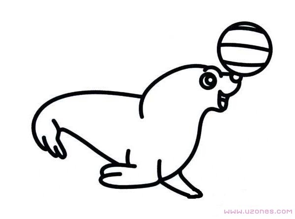 手绘海豹顶球的简笔画图片素描铅笔-www.qqscb.com